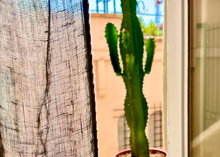 Apartamento Gardenia